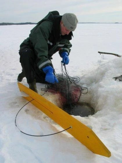 Veto Uittolaudan Varajousi ø 5 Mm - Image 3