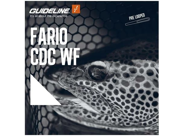 Guideline Fario CDC WF -perhosiima - Image 2