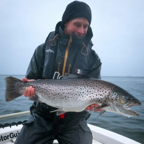 Vision Meri -perhovavat - Image 4