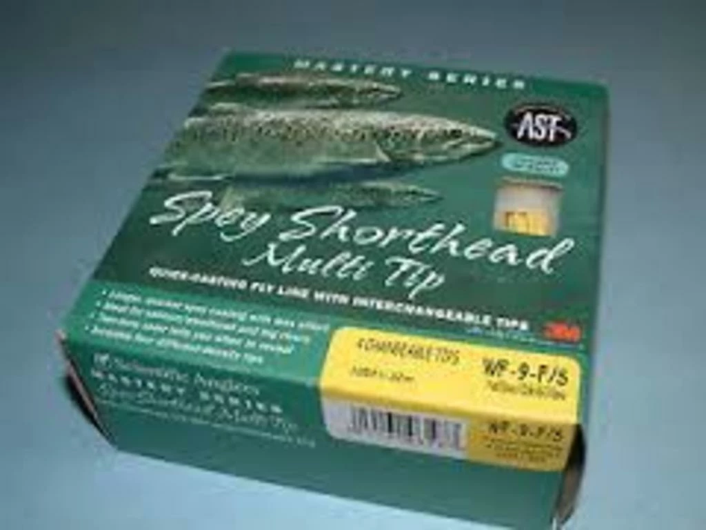 Scientific Anglers Spey ShortHead Multi Tip -perhosiima